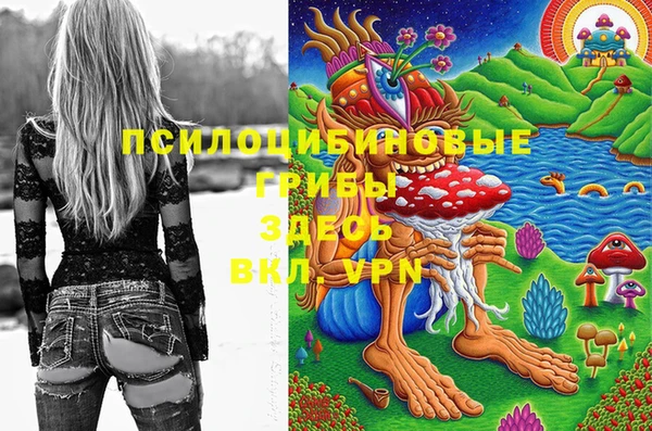 гидропоника Алексин