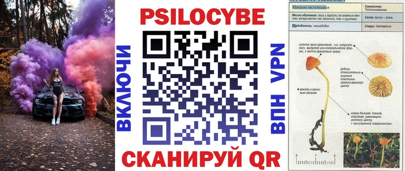 Псилоцибиновые грибы мицелий  Купить где  Болгар 